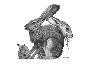 Stippling drawing - Rabbits