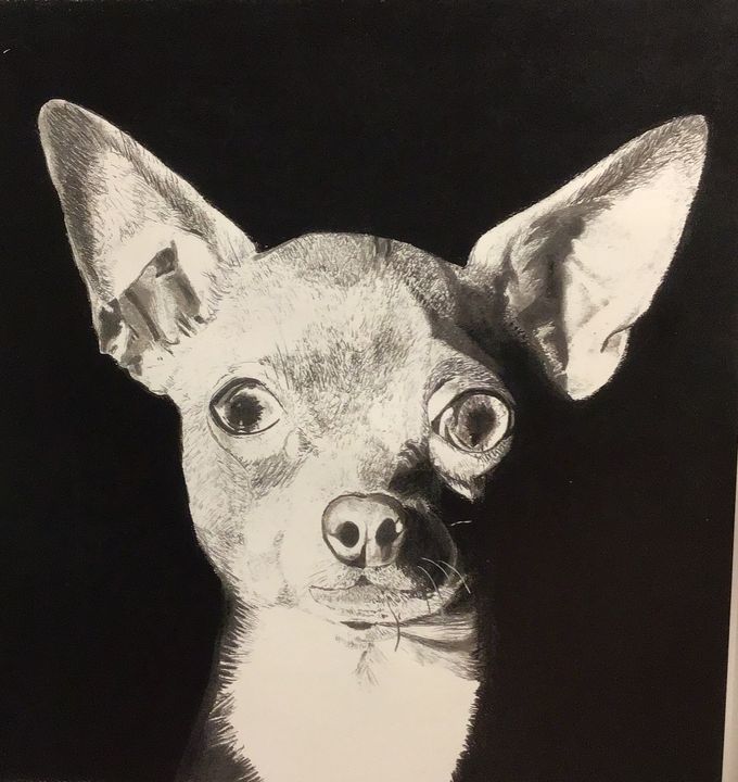 Le Doggo Artistic Aspiration Drawings Illustration Animals Birds Fish Dogs Puppies Chihuahua Artpal