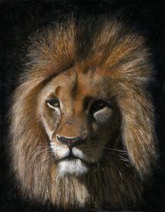 Fierce Lion - SirG - Paintings & Prints, Animals, Birds, & Fish, Wild Cats,  African Lion - ArtPal