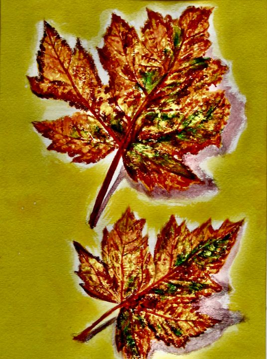 Maple Leaves - Dy Hun Lim