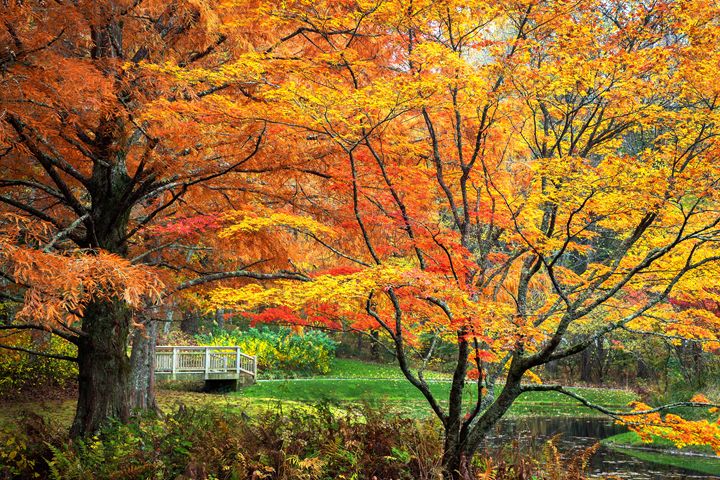 Autumn Bliss - Dennis Sabo Photography - Photography, Landscapes ...