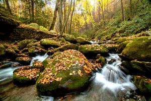 Boulder Dash - Dennis Sabo Photography
