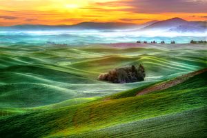 Here comes the  Sun - Dennis Sabo Photography