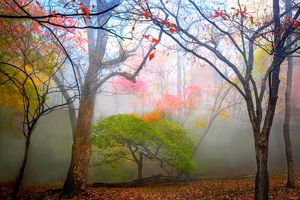 Fairy Tale Autumn - Dennis Sabo Photography