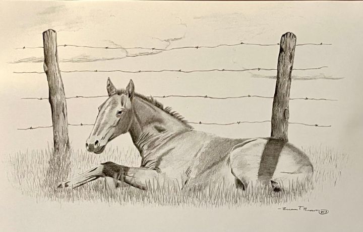 Colt Lay Colt Laying in the Grass - Brian T Brown Art - Drawings & Illustration ...