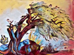 Aruba Divi Divi Tree - The Quigley Art Xchange Gallery
