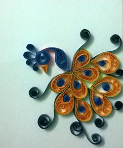 Indian Quilled peacock