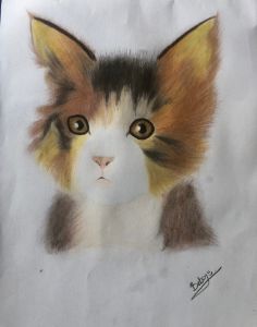 Cat And Butterfly Pencil Art - Deepa paintings - Drawings & Illustration,  Animals, Birds, & Fish, Cats & Kittens, Other Cats & Kittens - ArtPal