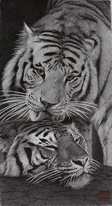 Two tigers - J.S. - Drawings & Illustration, Animals, Birds, & Fish ...