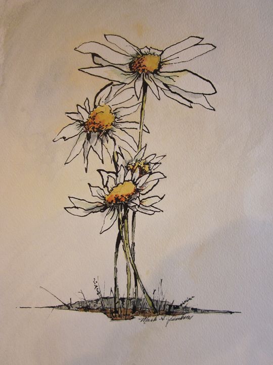 Flowers Pen & Ink 671 - Mark Jenkins Watercolors - Drawings