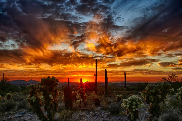 waiting-for-another-day-rob-lopez-photography-photography