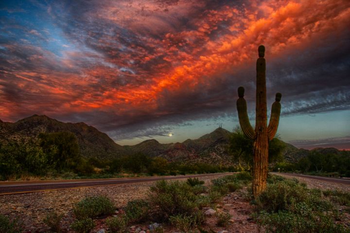 Road To Nowhere - Rob Lopez Photography - Photography, Landscapes ...