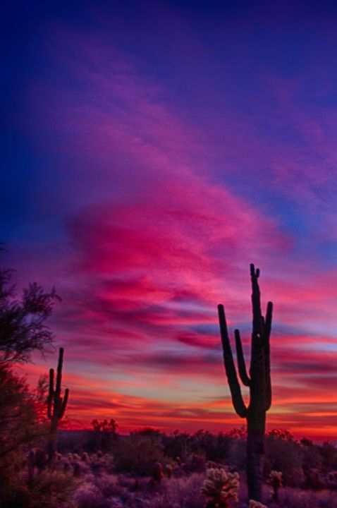 Arizona Desert - Rob Lopez Photography - Photography, Landscapes ...