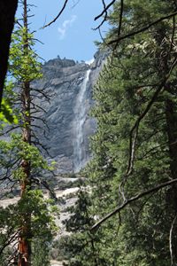 Secluded Waterfall