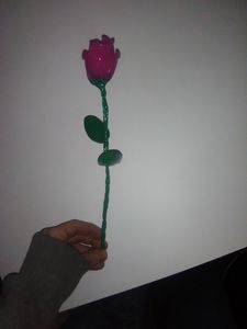 spoon rose