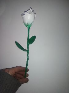 Spoon rose