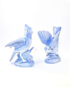 Blue Bird and Blue Jay