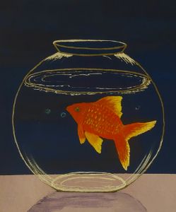 Quarantine Goldfish