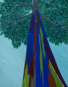 Rainbow Eucalyptus Tree - Arrow Artistic Endeavors