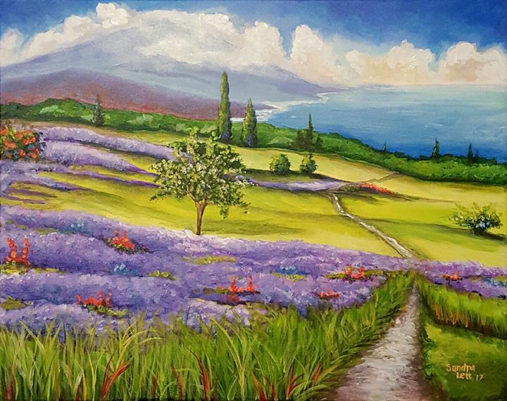 Lavender Fields - Sandra Lett