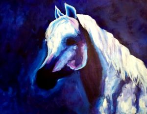 White Arabian Horse Portrait