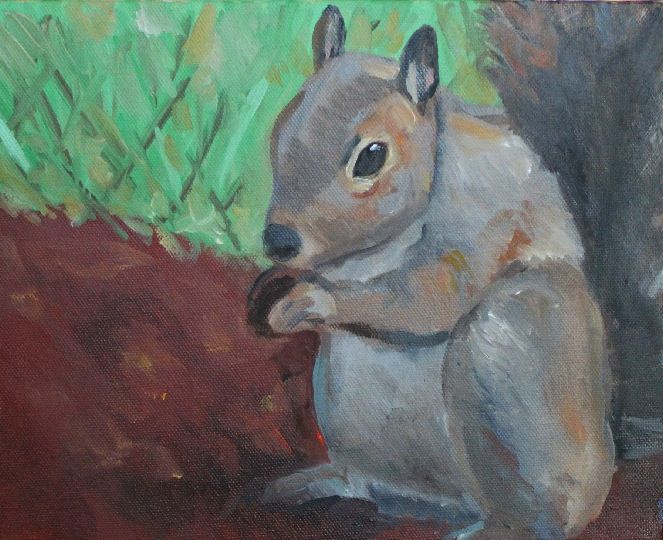 Squirrel - Blue Line Gallery
