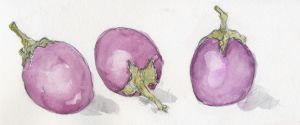Mini Eggplants - Barbara E Wyeth
