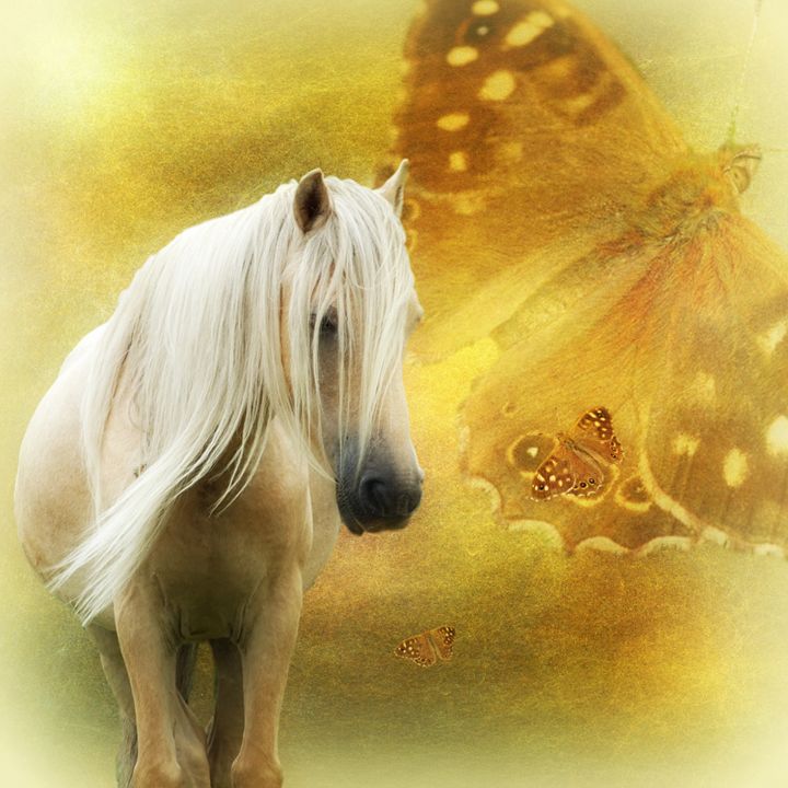 Autumn Contemplation - Horse & Butterfly - Digital Art & AI, Animals ...