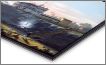 Metal Print