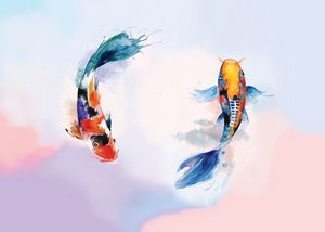 Koi Fish Watercolor painting