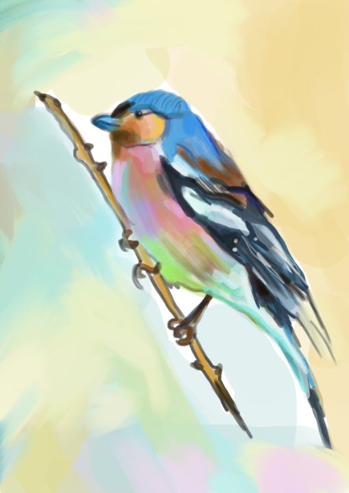 Colourfull Bird - Weronika Pyzik - Vercreaty - Drawings