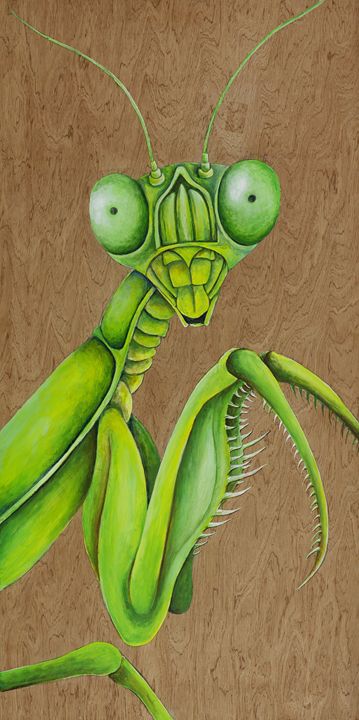 praying mantis painting