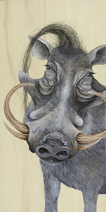 Warthog - Skee Goedhart Fine Art