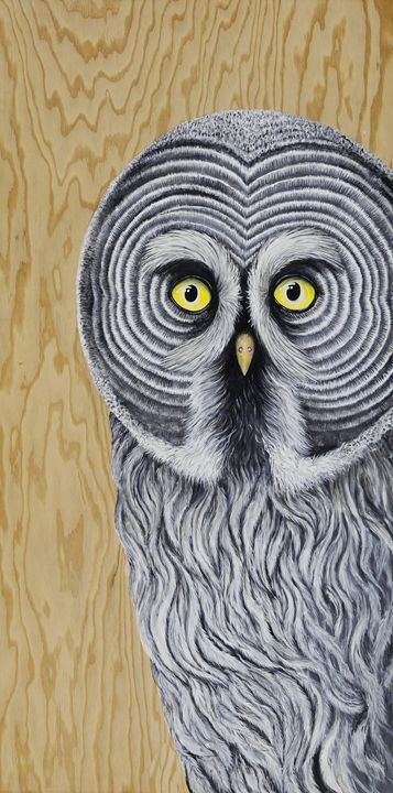 Great Horned Owl - Skee Goedhart Fine Art