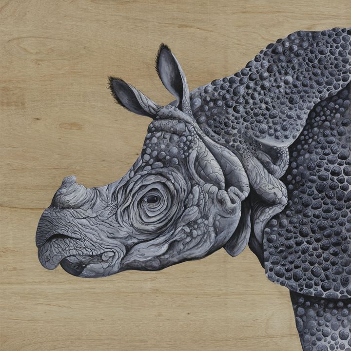 Javanese Rhino - Skee Goedhart Fine Art