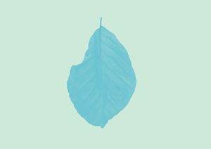 The simple leaf 3
