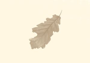 The simple leaf 2