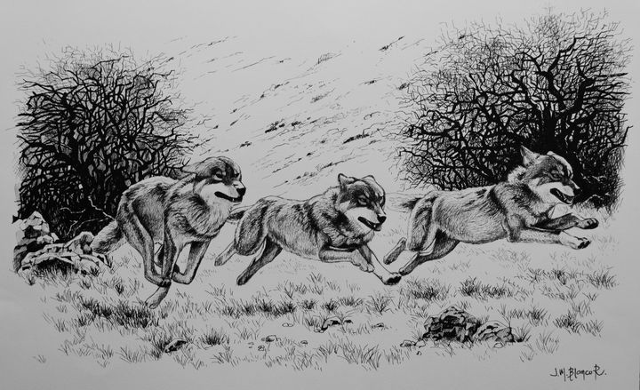 Wolves on the run - Jose Miguel Blanco