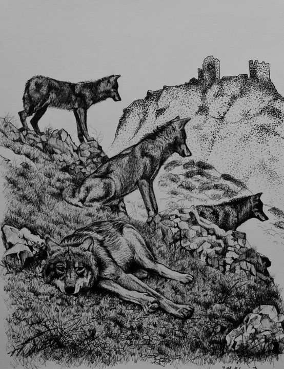 The last wolves of Sierra Morena - Jose Miguel Blanco