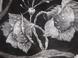 Copperplate printing