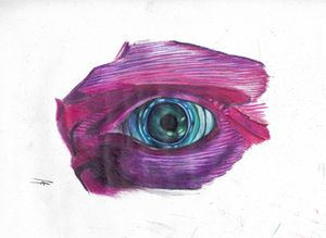 Eye of Vision