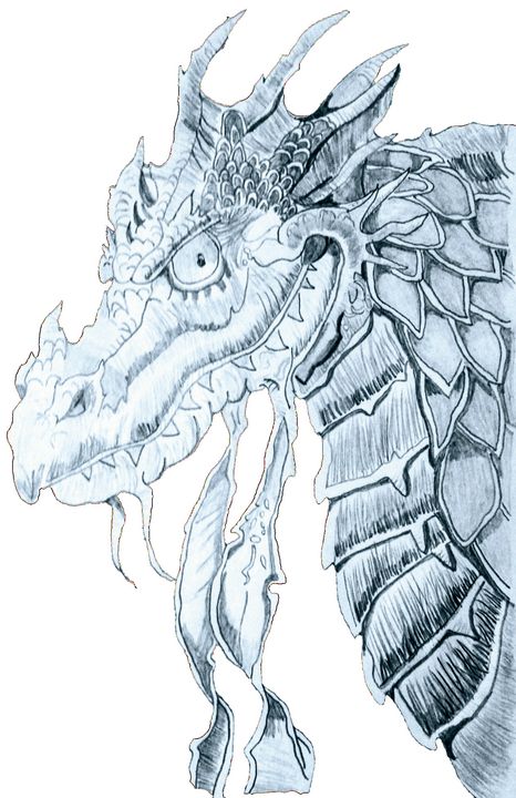 Pencil drawing for a dragon tattoo design - Impossible Images - Unique  stock images for commercial use.