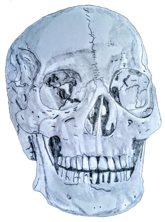 Realistic spooky skull cartoon (raster version) Stock Vector by  ©lineartestpilot 21528119
