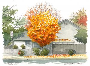Autumn Color - Rob Carey Art