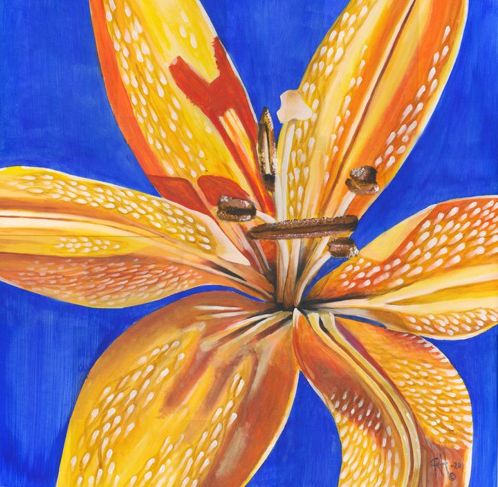 "Yellow lily" - Hansen Studio