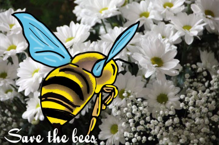 Save the bees 🐝 - ꜱɪɴᴅᴇʀᴇʟʟᴀ'ꜱ ᴀʀᴛ ꜱʜᴏᴘ