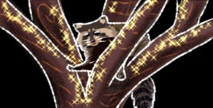 Sparkly Coon