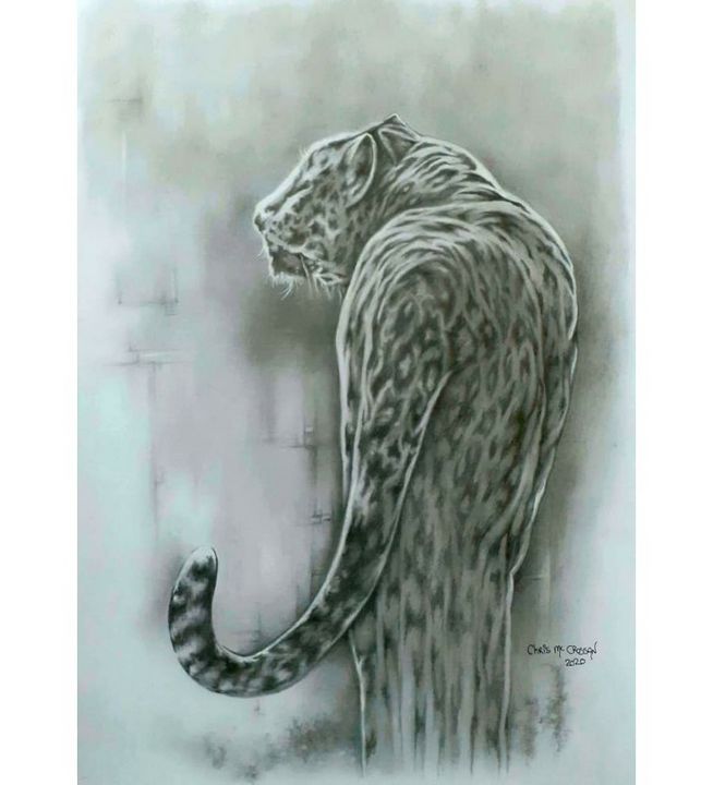 The big cat - Chris Mc Crossan - Drawings & Illustration, Animals, Birds, &  Fish, Wild Cats, Leopard & Jaguar - ArtPal