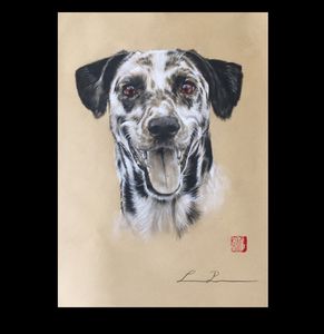 Black & White Dog Collection - CC World - Digital Art, Animals, Birds, &  Fish, Dogs & Puppies, Dalmatian - ArtPal