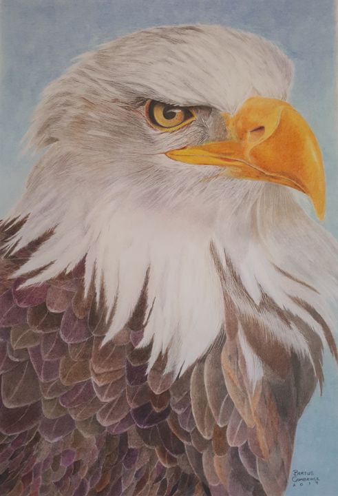 Indian Artists Club - #Repost @divinesketch ・・・ Its not over when you lose,  it's over when you quit.😌 So here's the final drawing 😀 #eagle with  charcoal pencils (soft, medium and hard).also